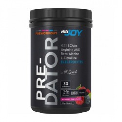 Bigjoy Predatör 30 Servis Noxx