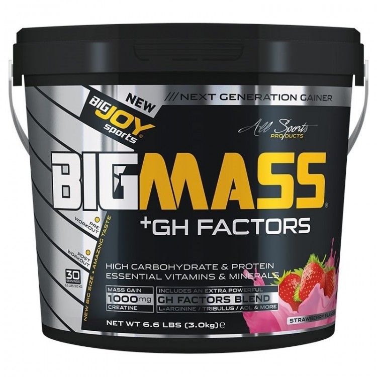 Bigjoy Bigmass GH Factor Gainer 3000 Gr