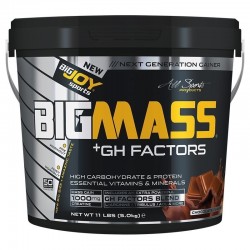 Bigjoy Bigmass GH Factor Gainer 5000 Gr