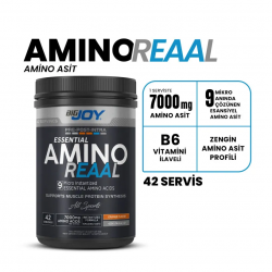 Bigjoy Amino Reaal 420g